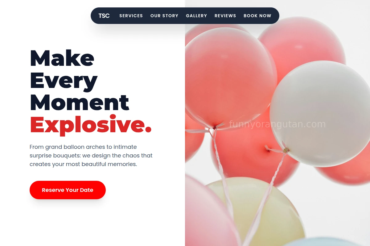 Balloon Balloons